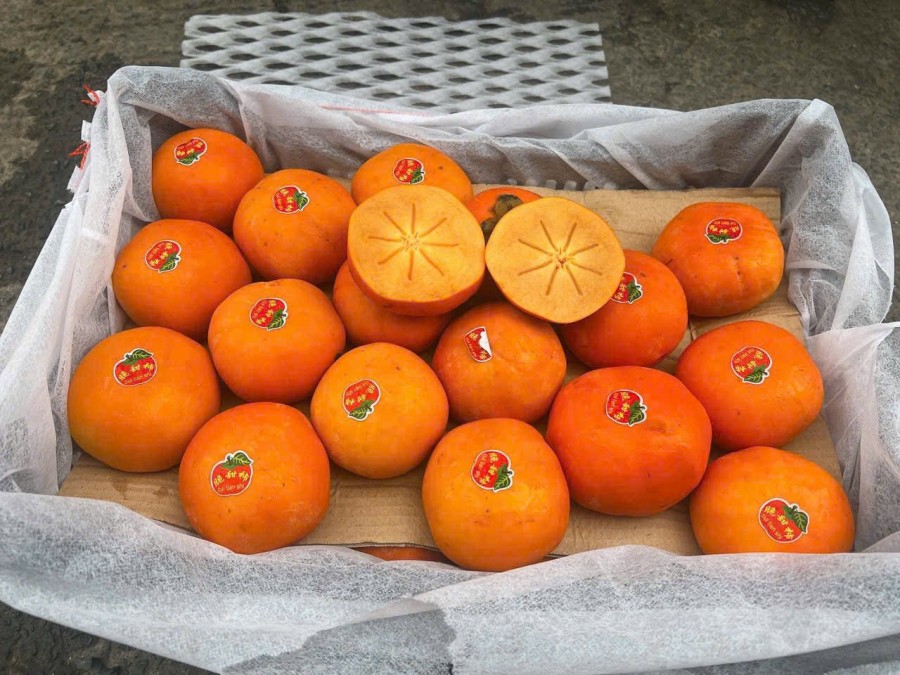 Hồng mật siêu ngọt